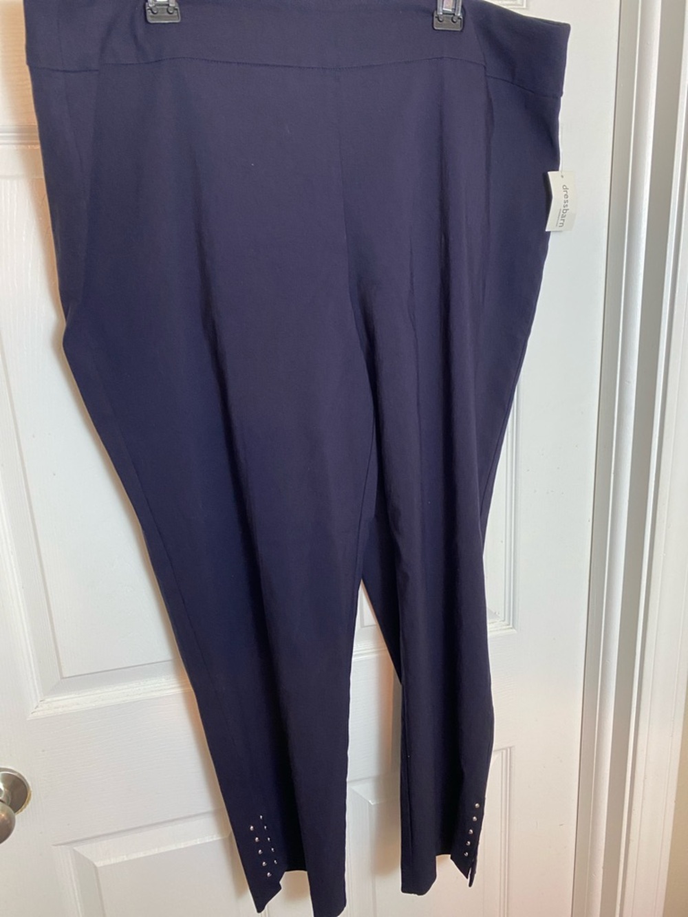 Roz & Ali Blue Ankle-Length Pants Stud Embellishment Plus Size 20W
